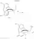 Fig. 30 - Processes for the preparation of morphinane and morphinone compounds