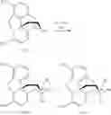 Fig. 44 - Processes for the preparation of morphinane and morphinone compounds