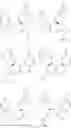Fig. 19 - Intermediates in the enantioselective synthesis of 3-(aminomethyl)-5-methyl-hexanoic acid