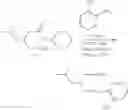 Fig. 47 - Intermediates in the enantioselective synthesis of 3-(aminomethyl)-5-methyl-hexanoic acid