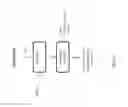 Fig. 24 - Extraction of neutral lipids by a two solvent method