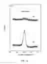 Fig. 05 - DENSE CU BASED THIN FILM AND THE MANUFACTURING PROCESS THEREOF