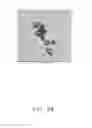 Fig. 07 - METHOD FOR SYNTHESIZING GOLD NANOPARTICLES