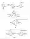 Fig. 03 - Ethoxy diphenyl ethane derivatives, preparation processes and uses thereof