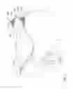 Fig. 08 - LAPAROSCOPIC SURGICAL RETRACTION DEVICE