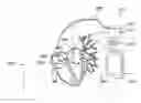Fig. 01 - SYSTEM AND METHOD FOR DETECTING AND TREATING CARDIOVASCULAR DISEASE