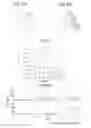 Fig. 13 - PHYSIOLOGICALLY ACTIVE SUBSTANCE COLLECTING DEVICE