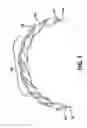 Fig. 04 - Twisted ribbon wire guidewire coil