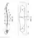 Fig. 11 - MECHANICAL STIMULATION WRAP AND METHOD OF USE