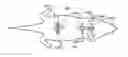 Fig. 01 - Skin treatment devices and methods with pre-stressed configurations