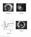 Fig. 16 - Laser activated nanothermolysis of cells