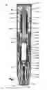 Fig. 02 - AUTOMATIC INJECTOR
