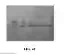 Fig. 06 - Dehydration sensors having buffered inks