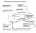 Fig. 01 - Methods, system and kit for diagnosing and treating dysphagia