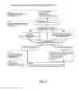 Fig. 04 - Methods, system and kit for diagnosing and treating dysphagia
