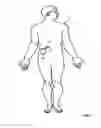 Fig. 02 - Optical detector for use in therapy