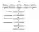 Fig. 02 - Identification of antigenic peptides from multiple myeloma cells