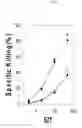 Fig. 07 - Identification of antigenic peptides from multiple myeloma cells
