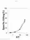 Fig. 09 - Identification of antigenic peptides from multiple myeloma cells