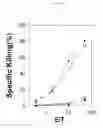 Fig. 10 - Identification of antigenic peptides from multiple myeloma cells