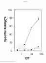 Fig. 17 - Identification of antigenic peptides from multiple myeloma cells