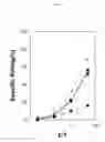 Fig. 18 - Identification of antigenic peptides from multiple myeloma cells