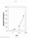 Fig. 20 - Identification of antigenic peptides from multiple myeloma cells