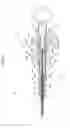 Fig. 06 - REPETITIVE CLIPPING TREATMENT DEVICE