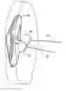 Fig. 01 - Vascular hole closure device