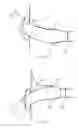 Fig. 09 - Prosthesis having pivoting fenestration