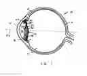 Fig. 02 - Ocular Lens