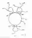 Fig. 03 - Ocular Lens