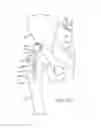 Fig. 09 - APPARATUS FOR CONTROLLING A LOAD ON A HIP JOINT