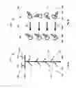 Fig. 07 - Method for time picking and orientation of three-component seismic signals in wells