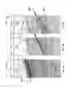 Fig. 12 - Method for time picking and orientation of three-component seismic signals in wells