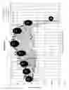 Fig. 06 - HAIRSCAN FOR GROWTH ANALYSIS