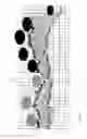 Fig. 08 - HAIRSCAN FOR GROWTH ANALYSIS