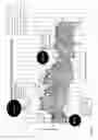 Fig. 09 - HAIRSCAN FOR GROWTH ANALYSIS