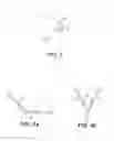 Fig. 05 - MOTION CAPTURE APPARATUS