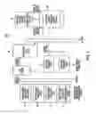 Fig. 03 - E-services translation utilizing machine translation and translation memory