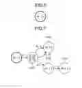 Fig. 06 - Finite state transducer determinizing device and finite state transducer determinizing method