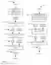 Fig. 03 - Consolidating processes for multiple variations