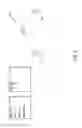 Fig. 09 - Product configuration server for efficiently displaying selectable attribute values for configurable products