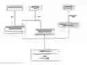 Fig. 01 - Non-biased, centrally-cleared financial instrument and method of clearing and settling