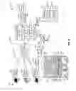 Fig. 09 - APPARATUS AND METHOD OF ACQUIRING OR DISTRIBUTING CONTENT