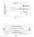 Fig. 03 - Method and apparatus of automated discovery in a communication network