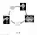 Fig. 06 - LONG FIBER THERMOPLASTIC HELMET INSERTS AND HELMETS AND METHODS OF MAKING EACH