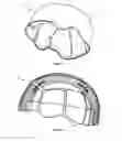 Fig. 02 - Deformable safety helmet