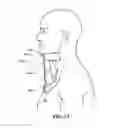 Fig. 09 - Head Support