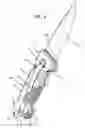 Fig. 03 - Folding knife